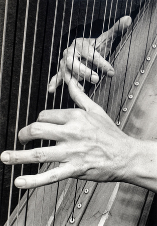 Musician's Hands harp