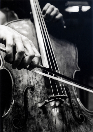 Musician's Hands 'cello.jpg