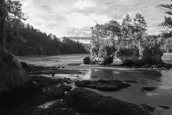 Island at Low Tide, Olympic National Park, 2018-1780
