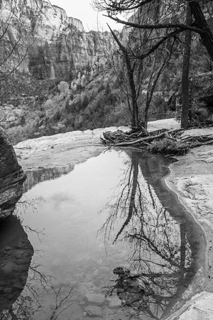 Reflections, Zion N/P. 2014-0169